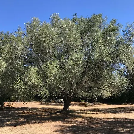 Hébergement de vacances Alta Rocca *