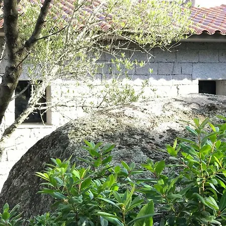 Hébergement de vacances Alta Rocca *
