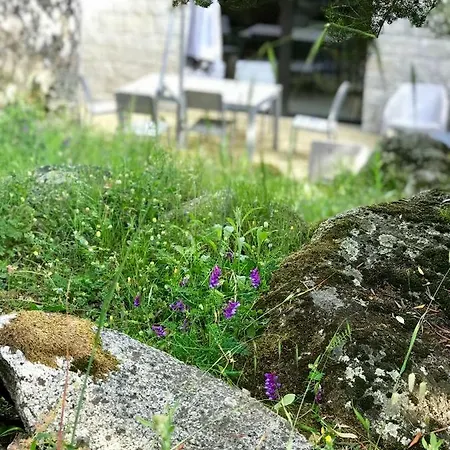 Tatil Evi Alta Rocca