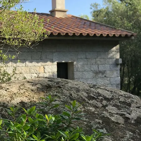 Alta Rocca Tatil Evi Porto-Vecchio (Corsica)