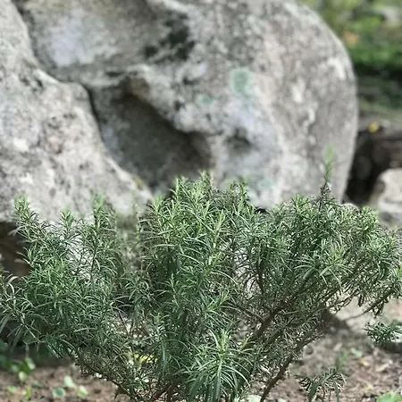 Hébergement de vacances Alta Rocca